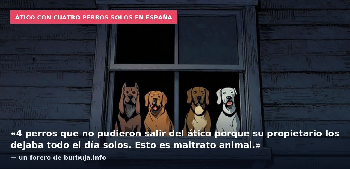 Ático con cuatro perros solos en España: «4 perros que no pudieron salir del ático porque su propietario los dejaba todo el día solos. Esto es maltrato animal.» — un forero de burbuja.info