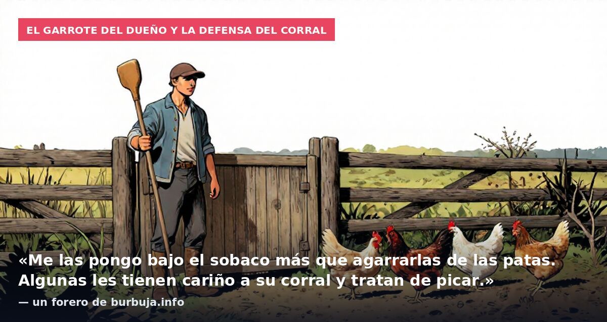 El garrote del dueño y la defensa del corral: «Me las pongo bajo el sobaco más que agarrarlas de las patas. Algunas les tienen cariño a su corral y tratan de picar.» — un forero de burbuja.info