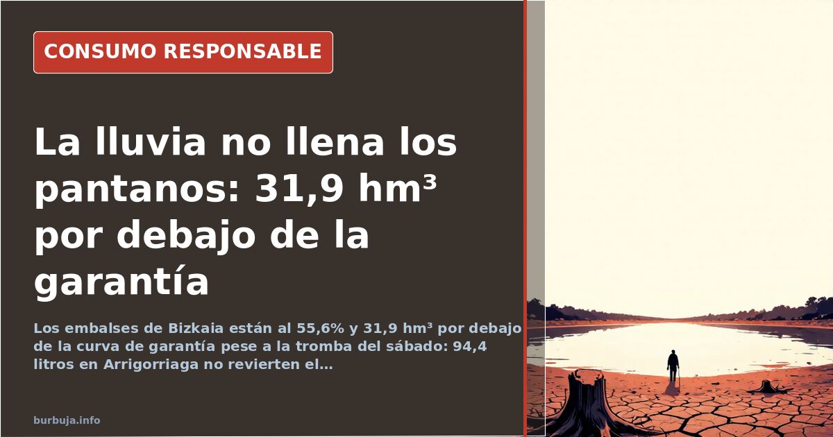 Vista del embalse de Undurraga en Zeanuri con el nivel de agua descendido y la orilla de tierra seca al descubierto