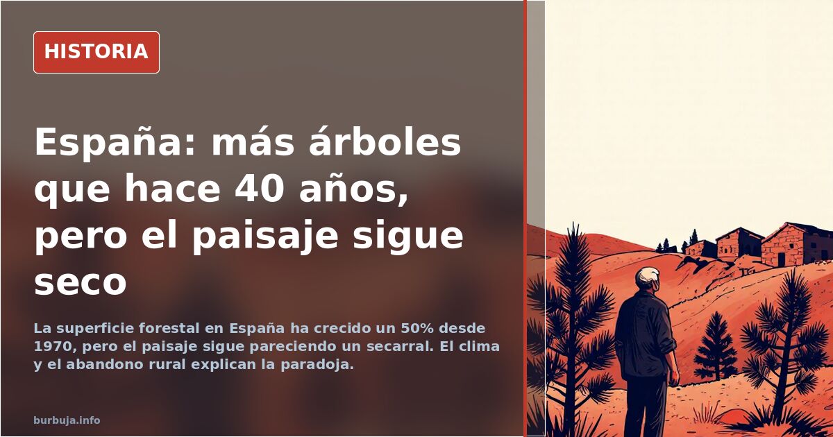La masa forestal en España crece un 50% desde 1970, pero el paisaje sigue árido