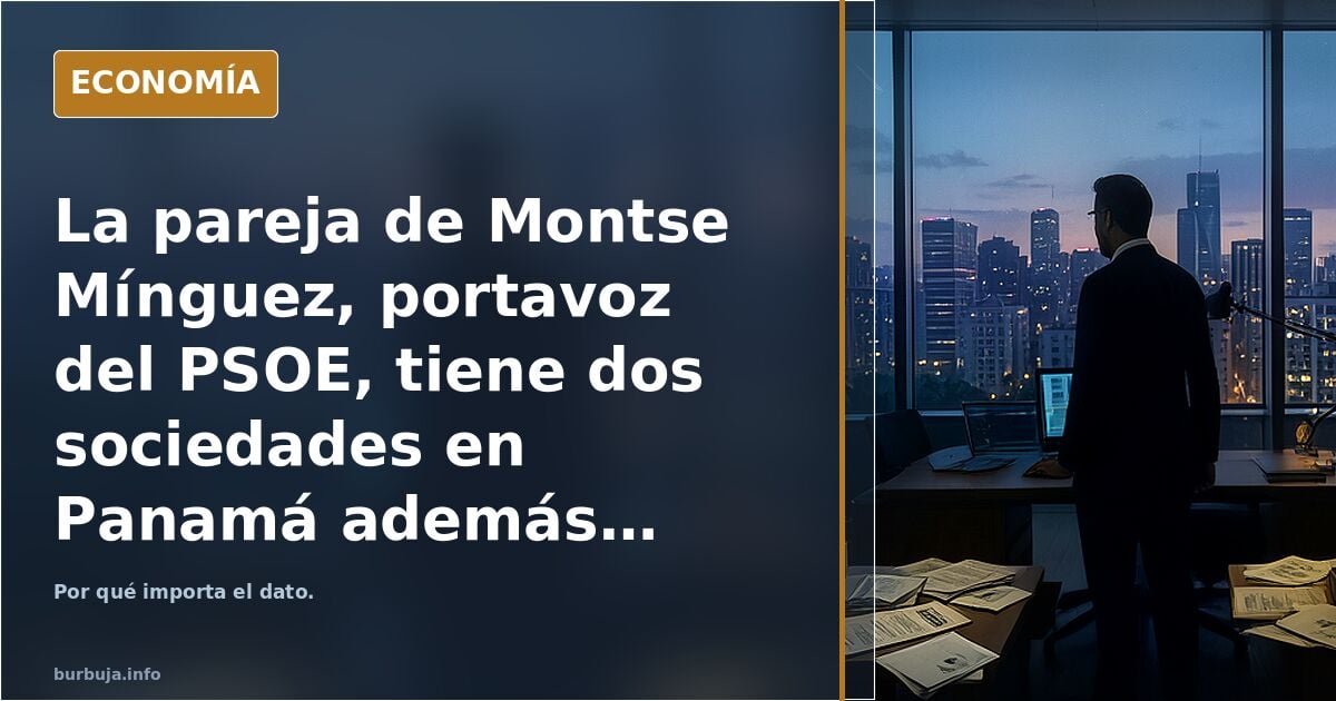 La pareja de Montse Mínguez, portavoz del PSOE, tiene dos sociedades en Panamá además de sus 30 pisos en España