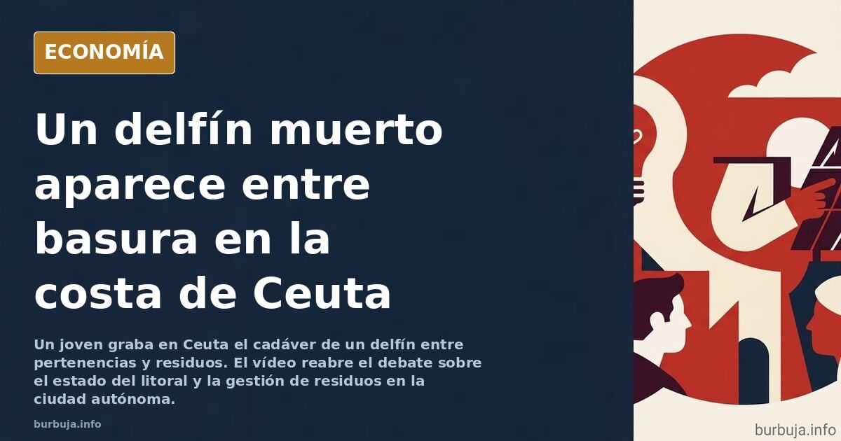 Última hora Aparece otra cría de Delfín muerta