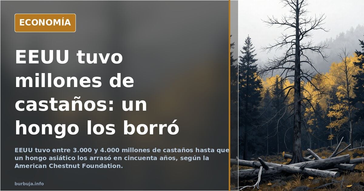 Ilustración editorial de un castaño americano solitario en un bosque de los Apalaches, con hojas y erizos, en tonos azul mari