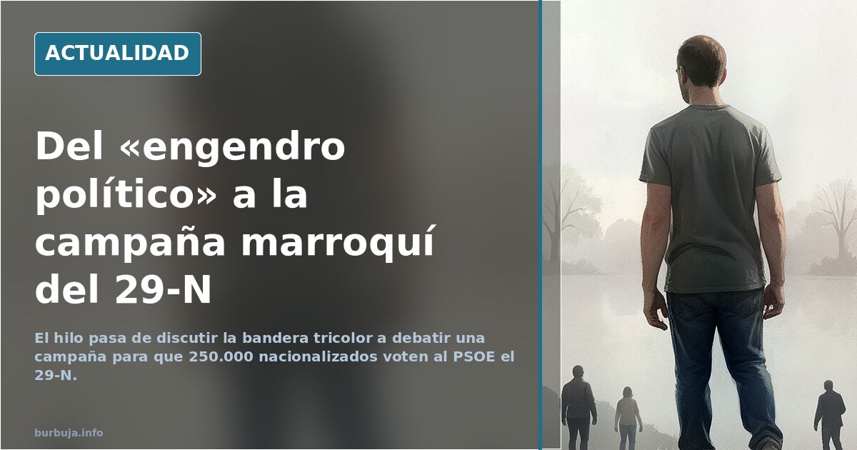 La bandera rojigualda no nos representa