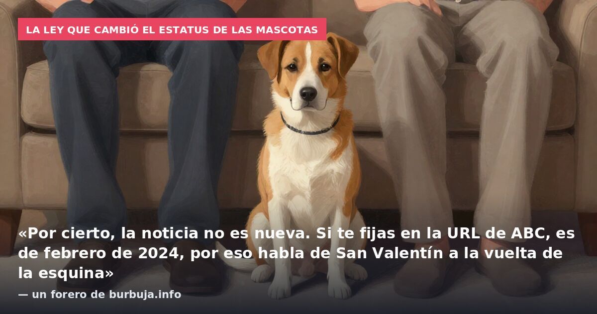 La ley que cambió el estatus de las mascotas: «Por cierto, la noticia no es nueva. Si te fijas en la URL de ABC, es de febrero de 2024, por eso habla de San Valentín a la vuelta de la esquina» — un forero de burbuja.info