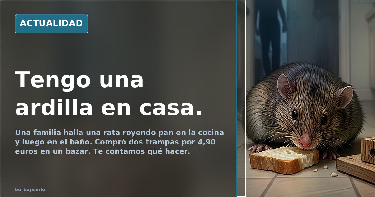 Tengo una ardilla en casa.