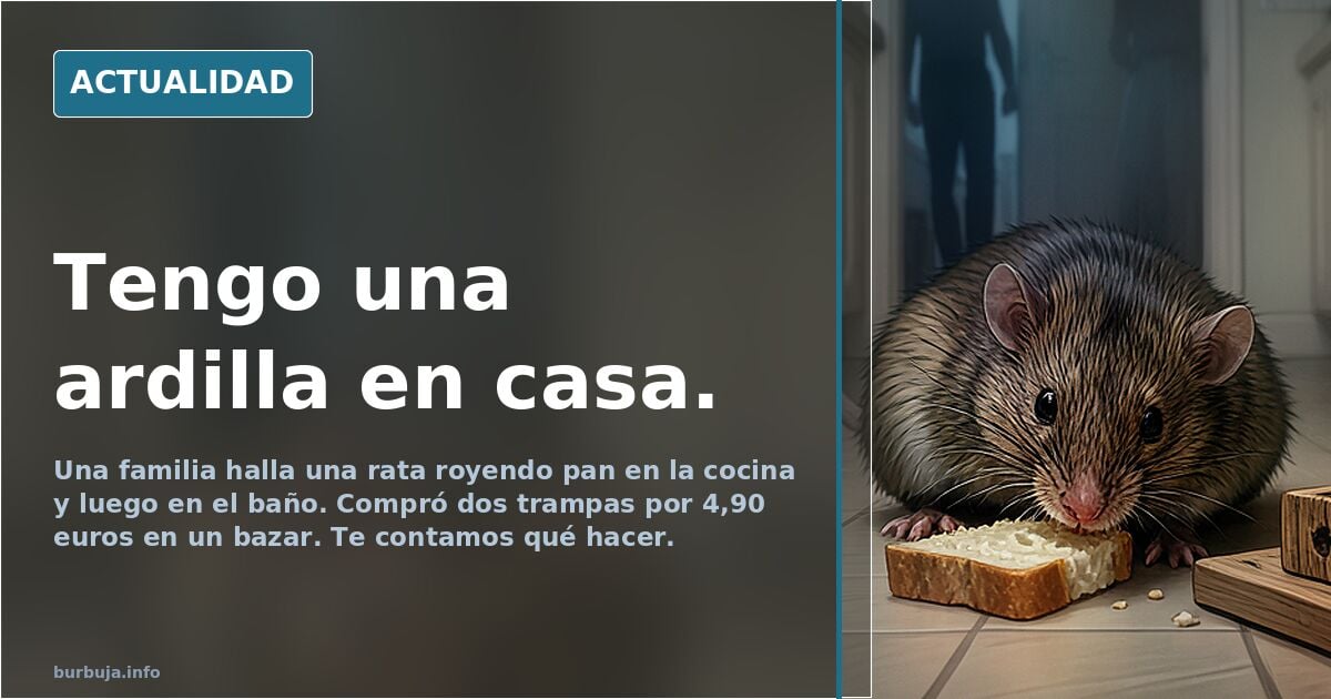 Tengo una ardilla en casa.
