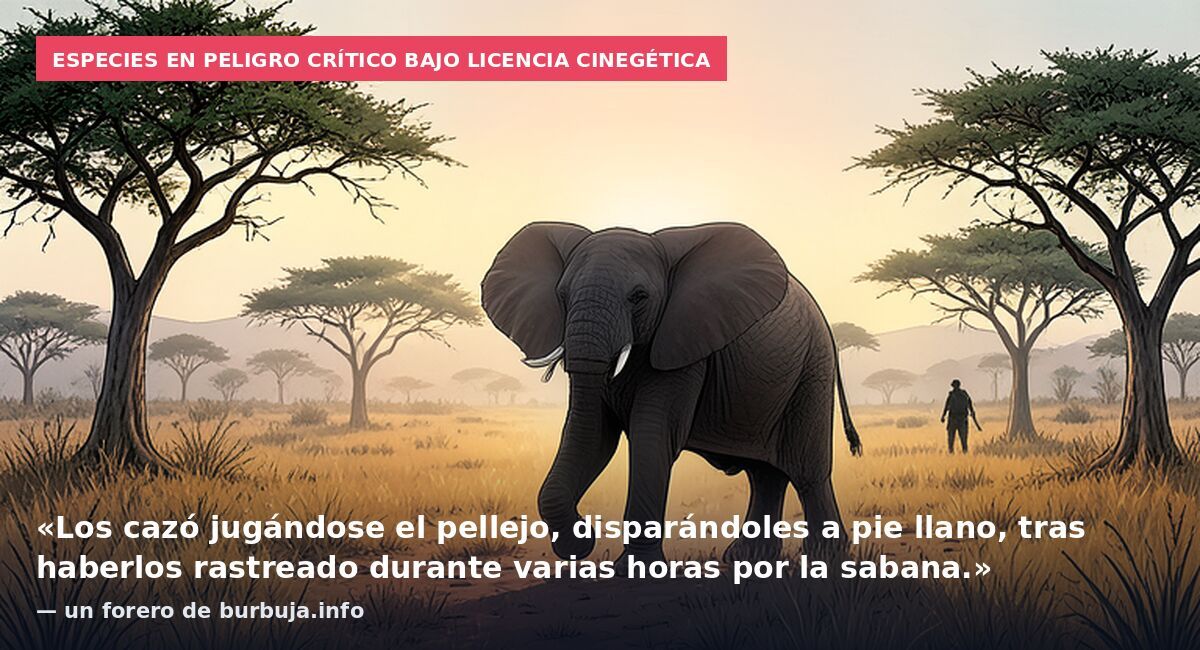 Un español hace historia tras ser el primero en cazar a los siete grandes de África con un arco tradicional