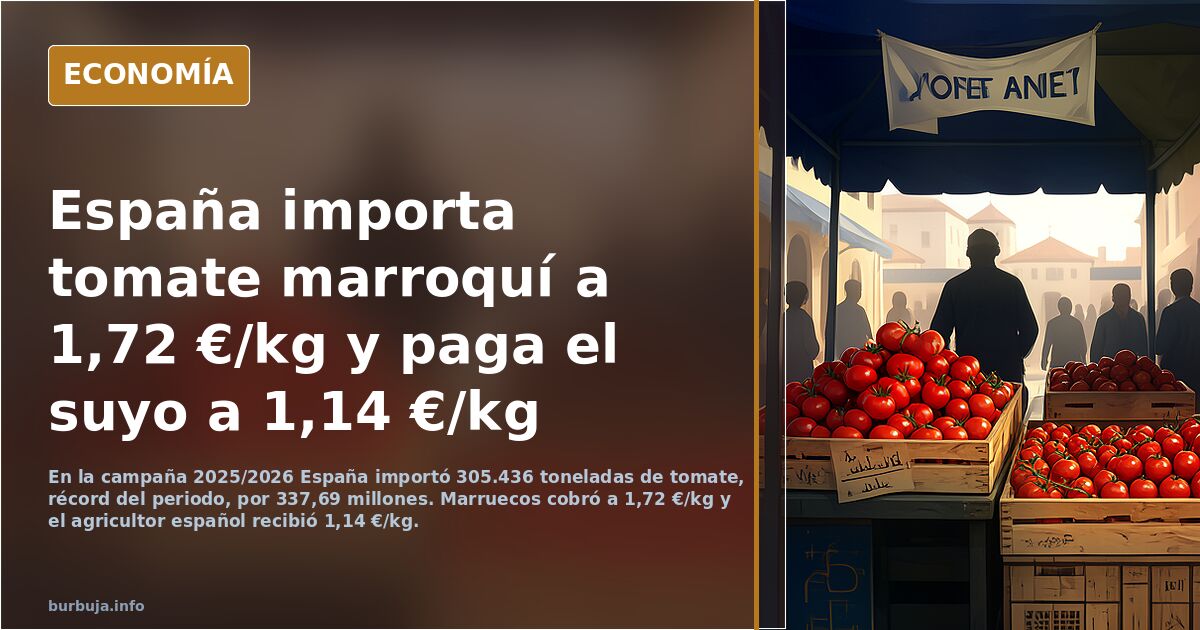 España paga más por los tomates de Marruecos a 1,72 euros el kilo que por los de sus propios agricultores a 1,14 euros