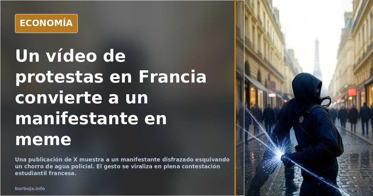 Protestas estudiantiles en francia: Panthers contra la policía maricronística
