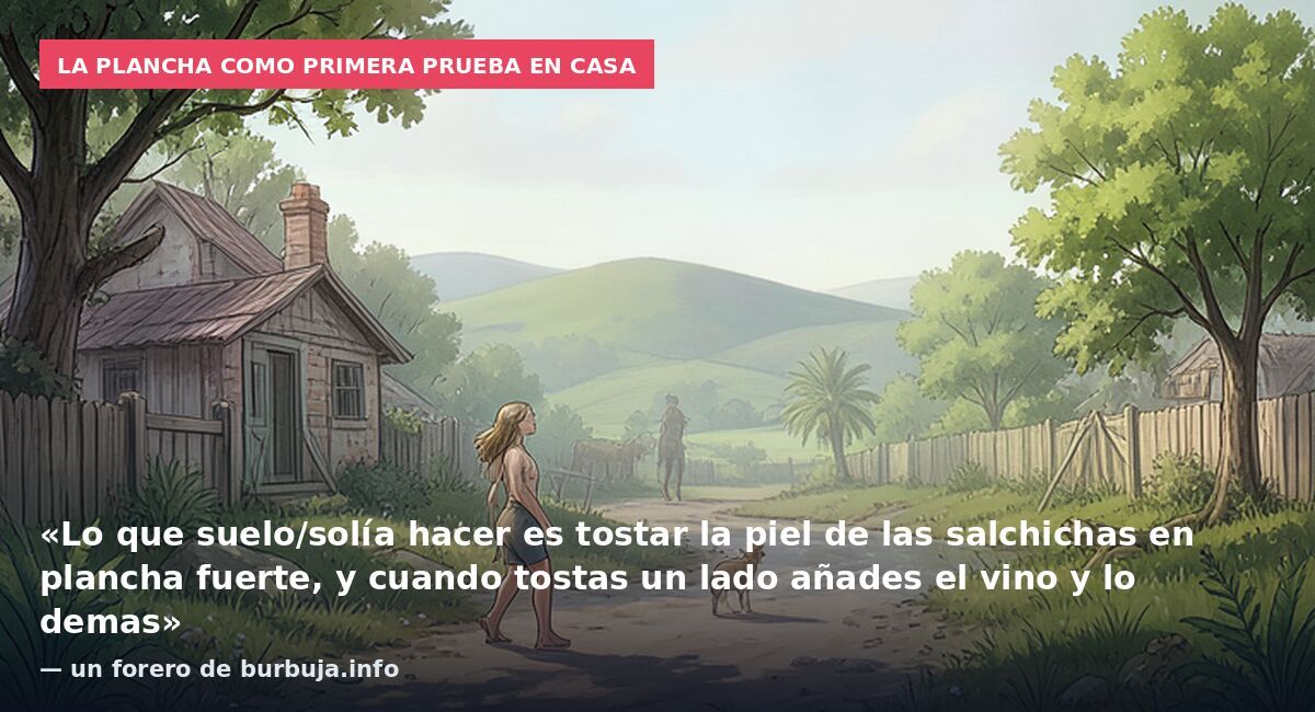 La plancha como primera prueba en casa: «Lo que suelo/solía hacer es tostar la piel de las salchichas en plancha fuerte, y cuando tostas un lado añades el vino y lo demas» — un forero de burbuja.info