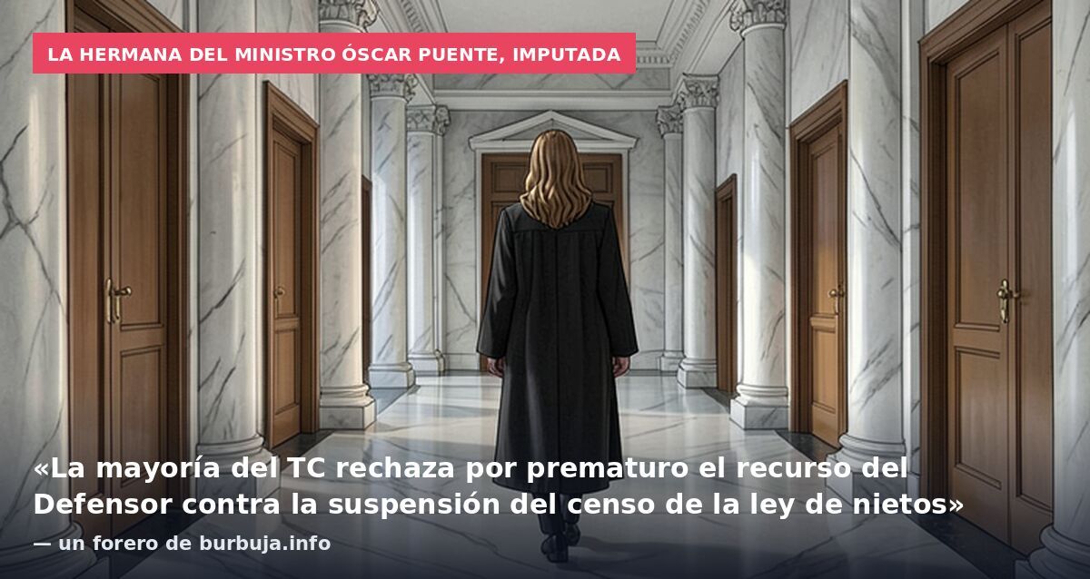 La hermana del ministro Óscar Puente, imputada: «La mayoría del TC rechaza por prematuro el recurso del Defensor contra la suspensión del censo de la ley de nietos» — un forero de burbuja.info
