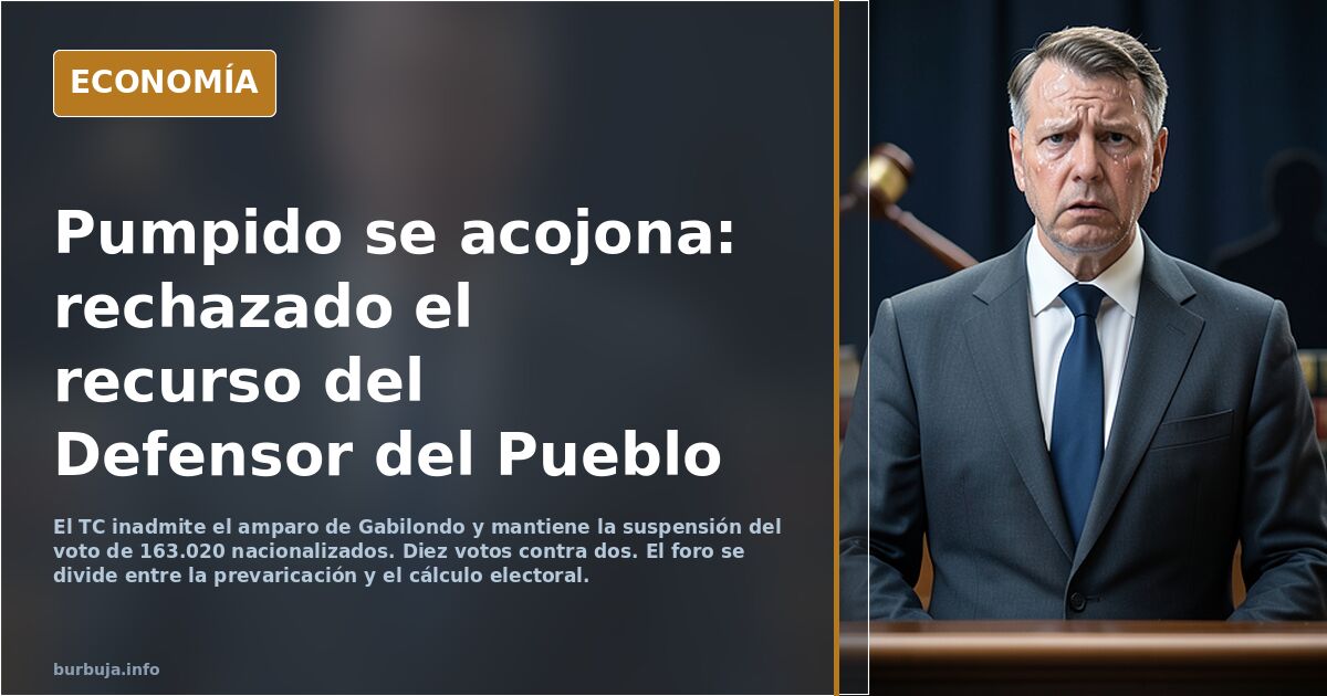 Pumpido y el recurso del Defensor del Pueblo sobre la Ley de Nietos