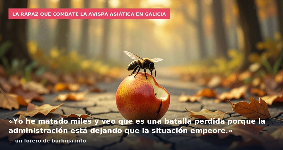 Un nido de avispa Velutina se vuelve a cobrar la vida de un hombre en Galicia.