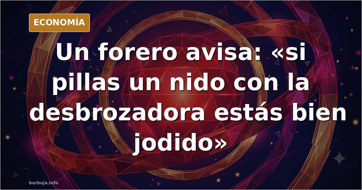 Un nido de avispa Velutina se vuelve a cobrar la vida de un hombre en Galicia.