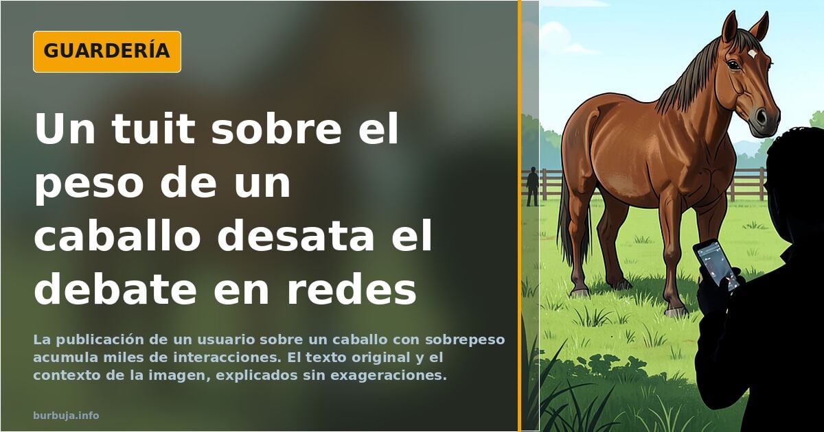 ¿Si o no?