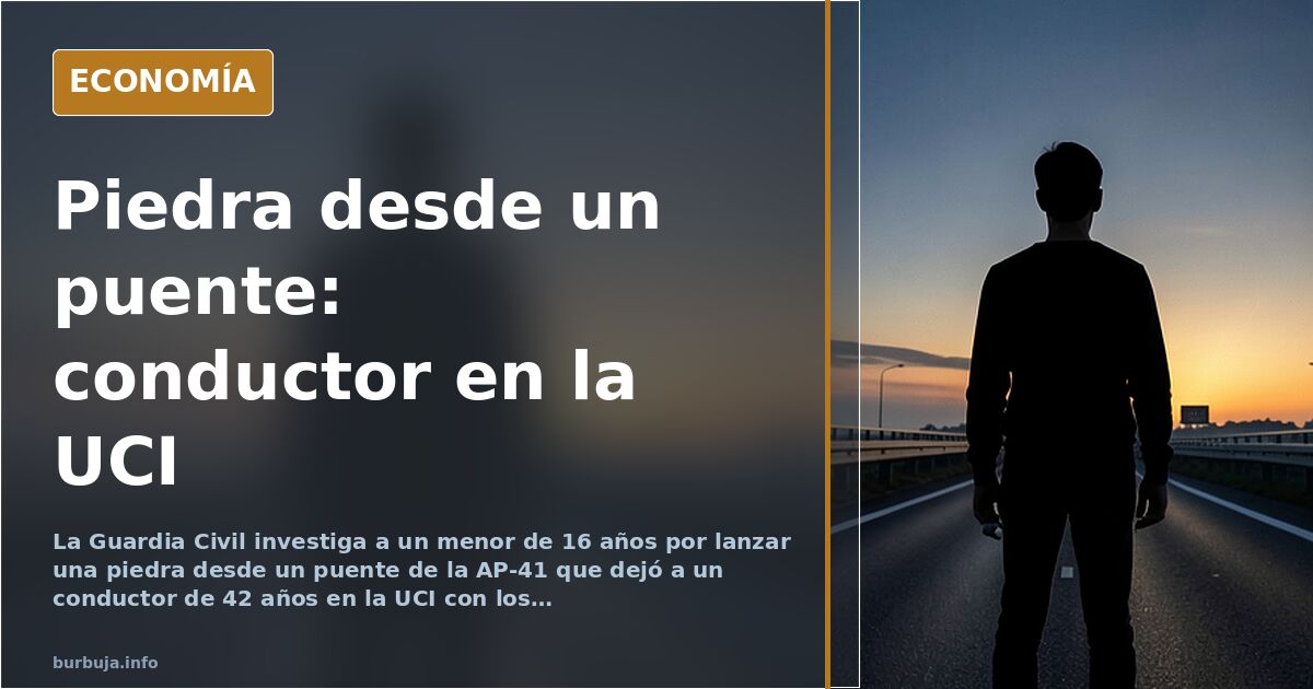 Un menor de 16 años, investigado por dejar en la UCI a un conductor al tirar una piedra desde un puente