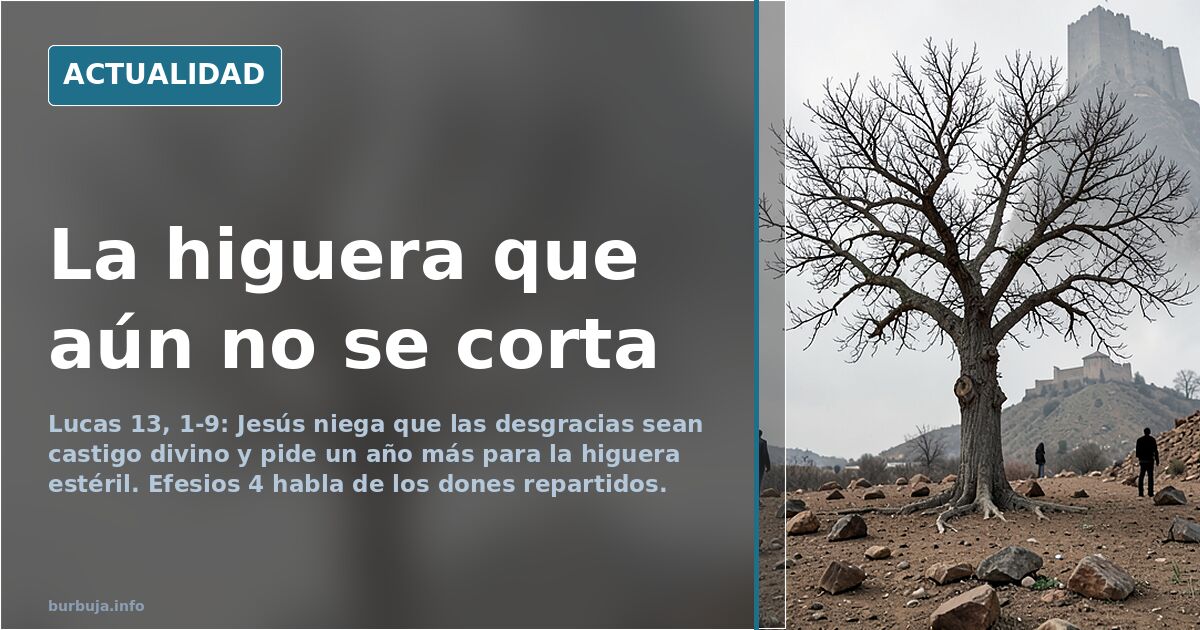 Evangelio del 24 de octubre: la higuera estéril y el don de Cristo
