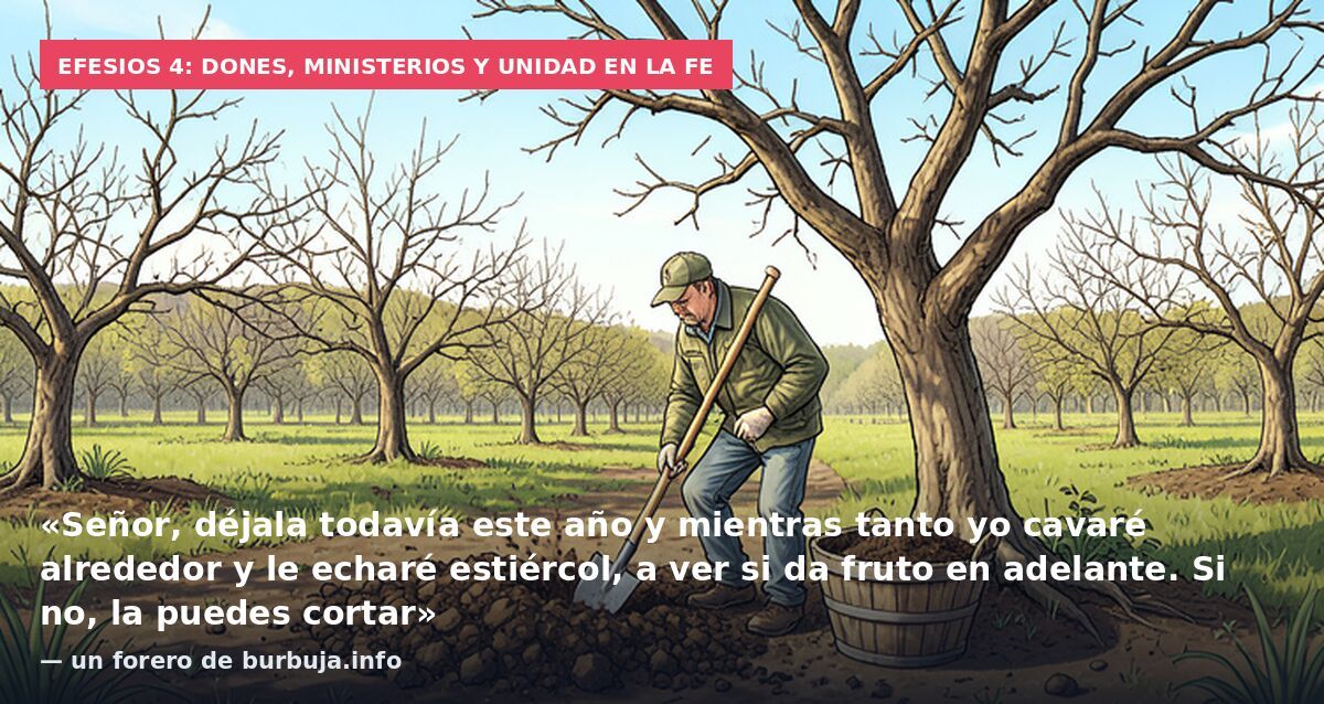 Efesios 4: dones, ministerios y unidad en la fe: «Señor, déjala todavía este año y mientras tanto yo cavaré alrededor y le echaré estiércol, a ver si da fruto en adelante. Si no, la puedes cortar» — un forero de burbuja.info