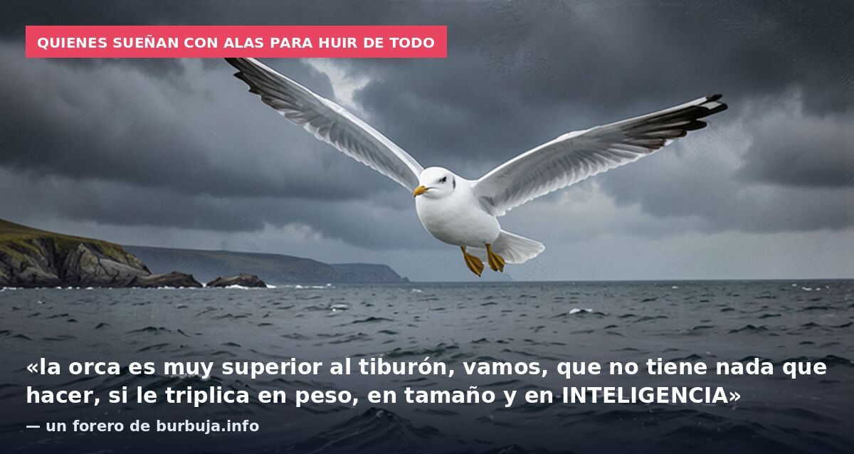 Quienes sueñan con alas para huir de todo: «la orca es muy superior al tiburón, vamos, que no tiene nada que hacer, si le triplica en peso, en tamaño y en INTELIGENCIA» — un forero de burbuja.info