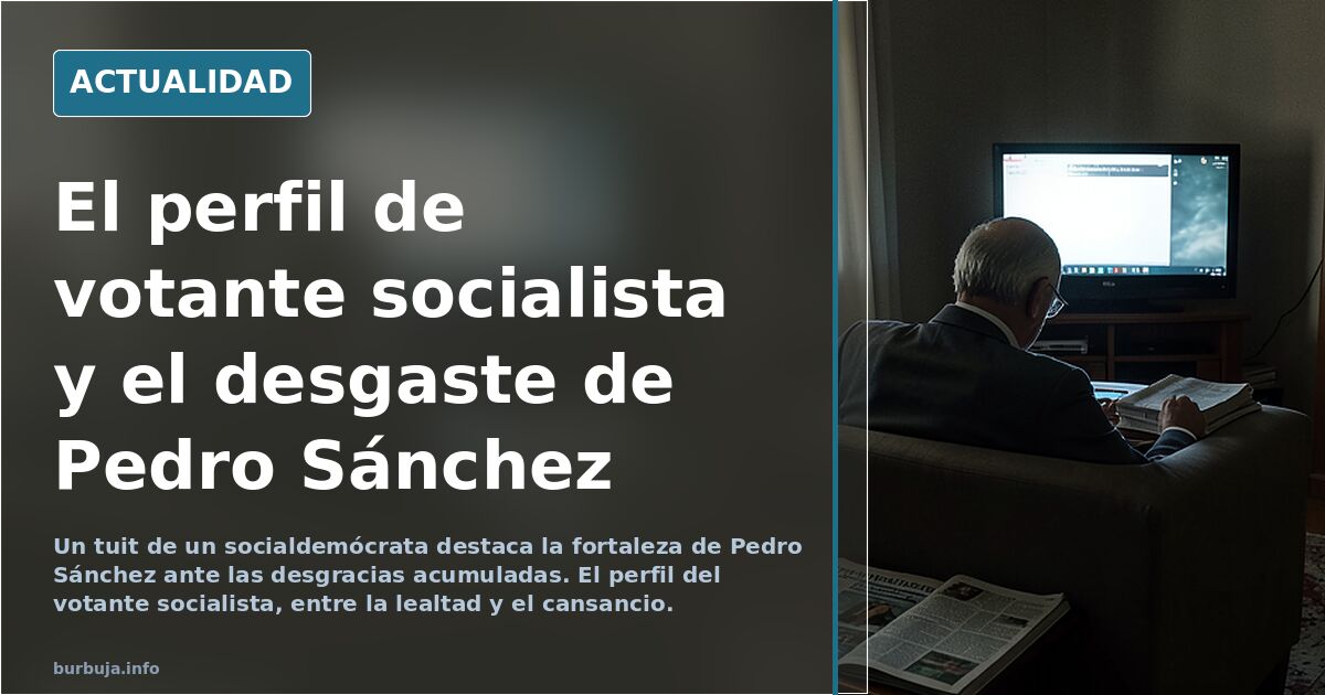 PERFIL DE VOTANTE SOCIALISTA