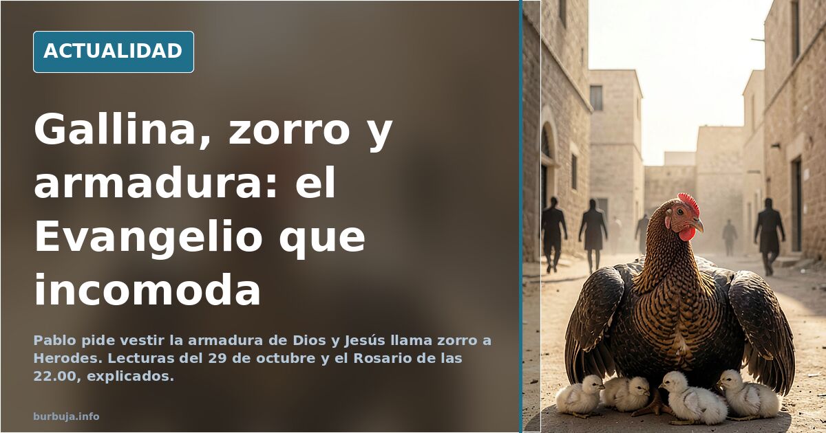 Evangelio de hoy 29 de octubre: la gallina que quiso reunir a Jerusalén