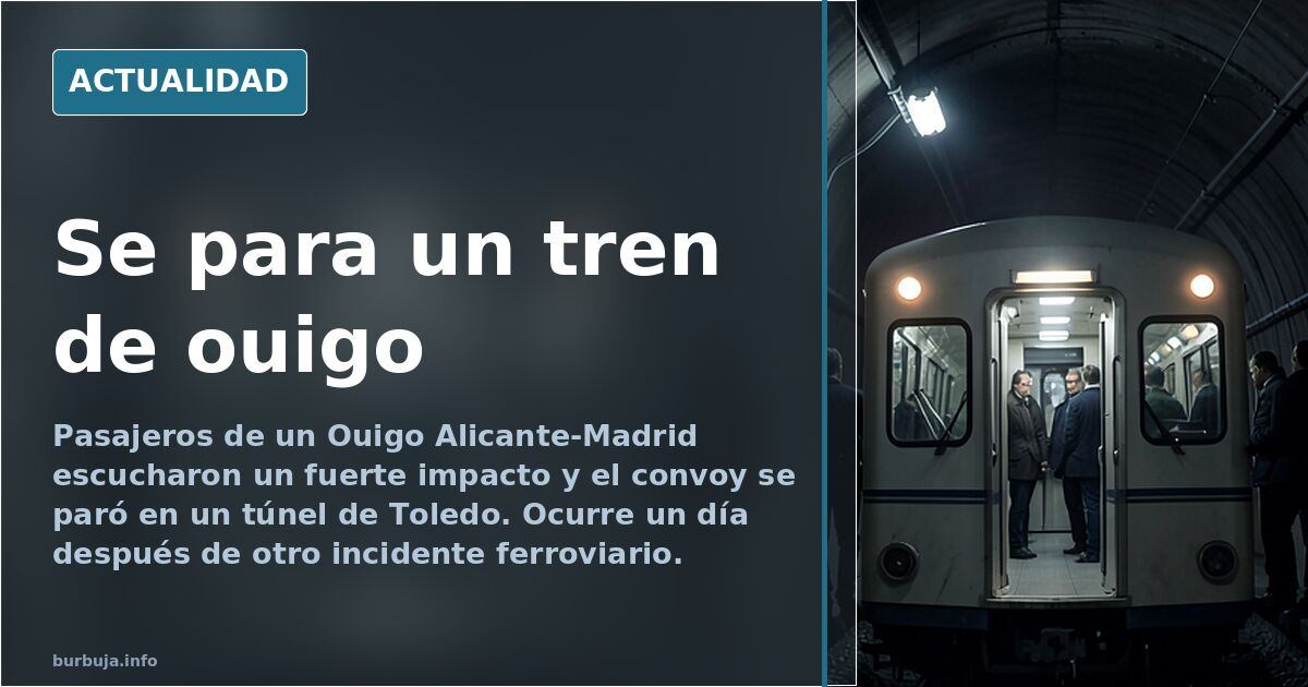 Se para un tren de ouigo