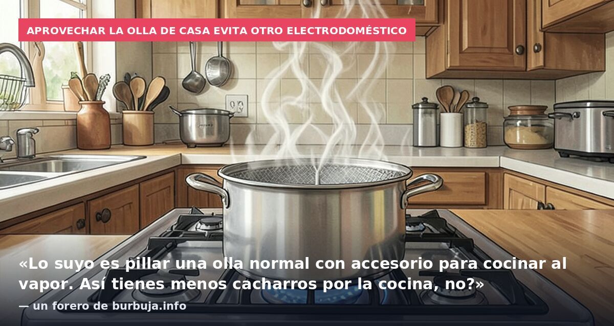 Aprovechar la olla de casa evita otro electrodoméstico: «Lo suyo es pillar una olla normal con accesorio para cocinar al vapor. Así tienes menos cacharros por la cocina, no?» — un forero de burbuja.info