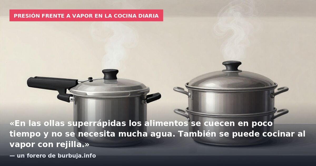 Presión frente a vapor en la cocina diaria: «En las ollas superrápidas los alimentos se cuecen en poco tiempo y no se necesita mucha agua. También se puede cocinar al vapor con rejilla.» — un forero de burbuja.info