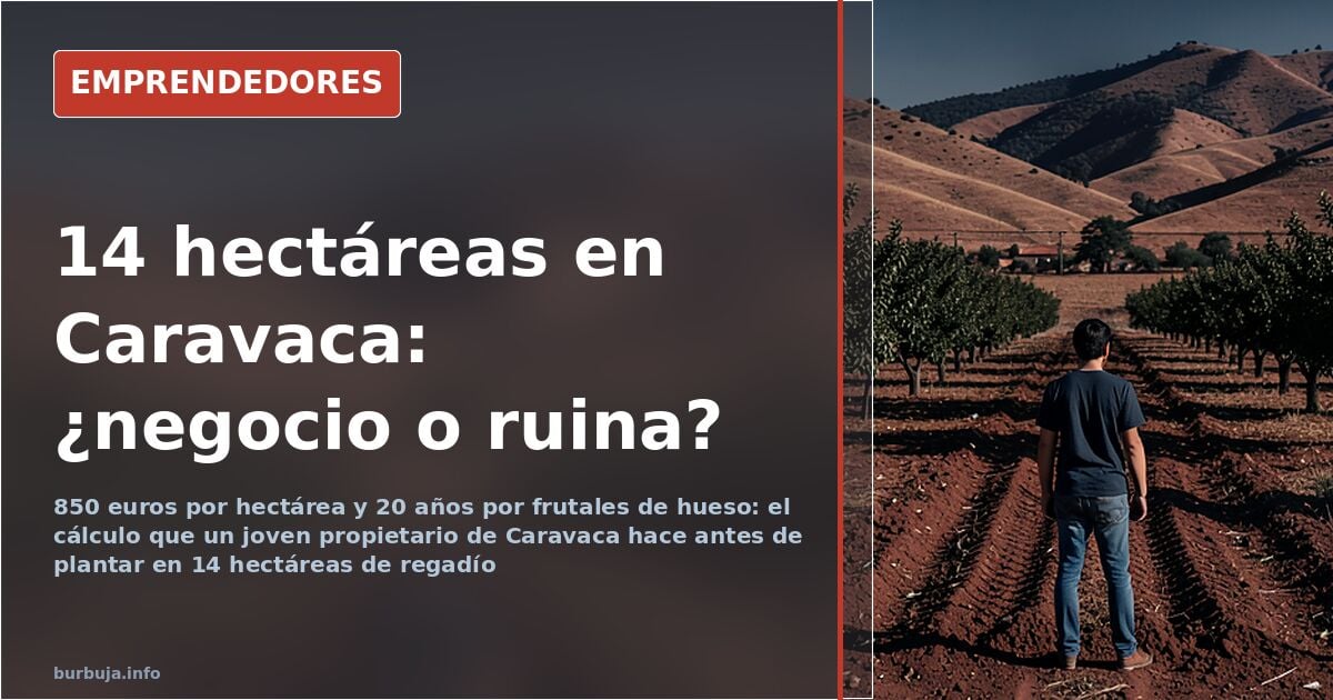 Profitable crops in inland Murcia, Spain: from apricots to truffles