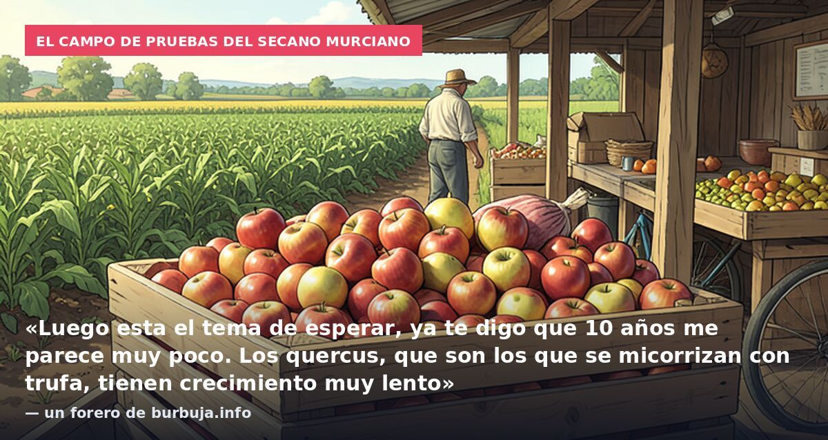 El campo de pruebas del secano murciano: «Luego esta el tema de esperar, ya te digo que 10 años me parece muy poco. Los quercus, que son los que se micorrizan con trufa, tienen crecimiento muy lento» — un forero de burbuja.info