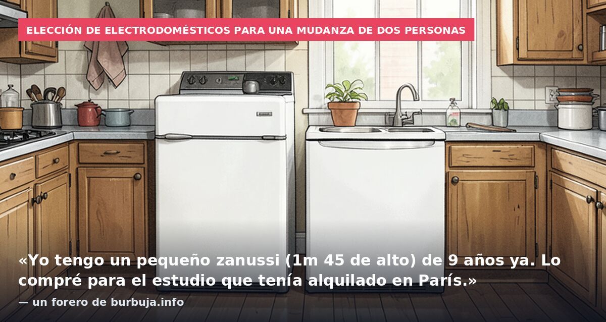 Elección de electrodomésticos para una mudanza de dos personas: «Yo tengo un pequeño zanussi (1m 45 de alto) de 9 años ya. Lo compré para el estudio que tenía alquilado en París.» — un forero de burbuja.info
