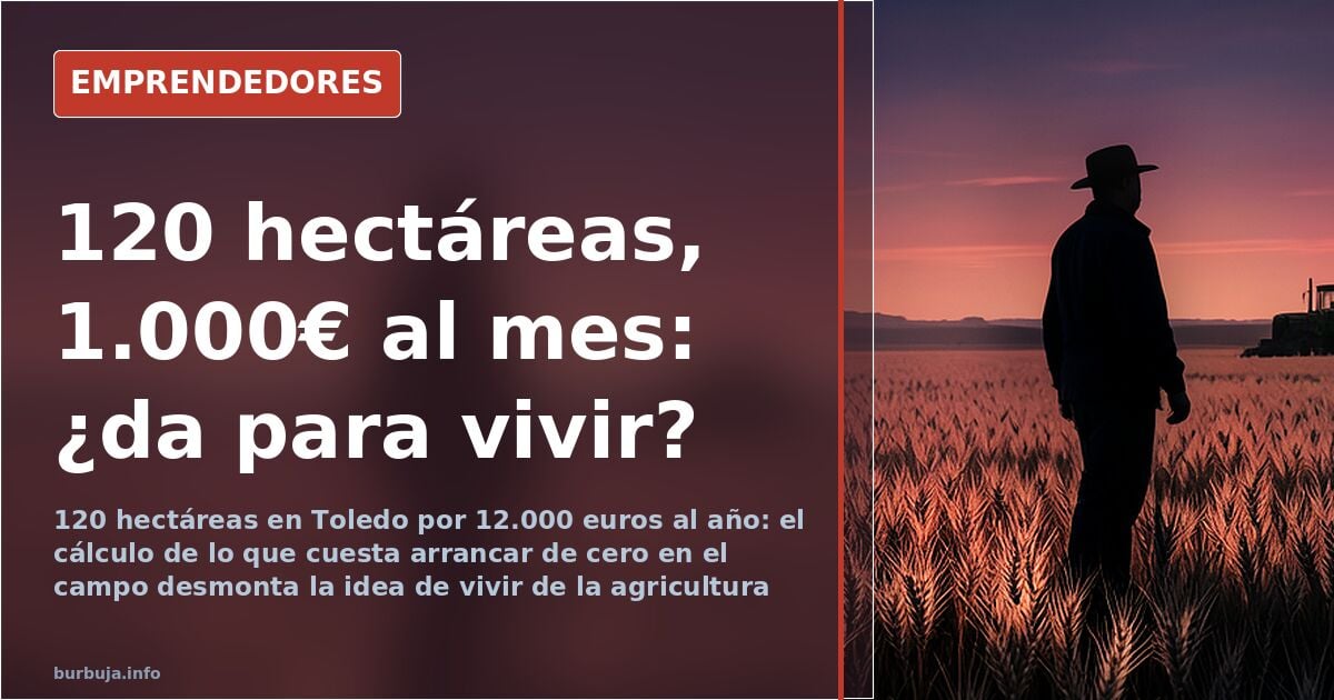 Von 120 Hektar in Toledo, Spanien, leben: Die Zahlen gehen nicht auf