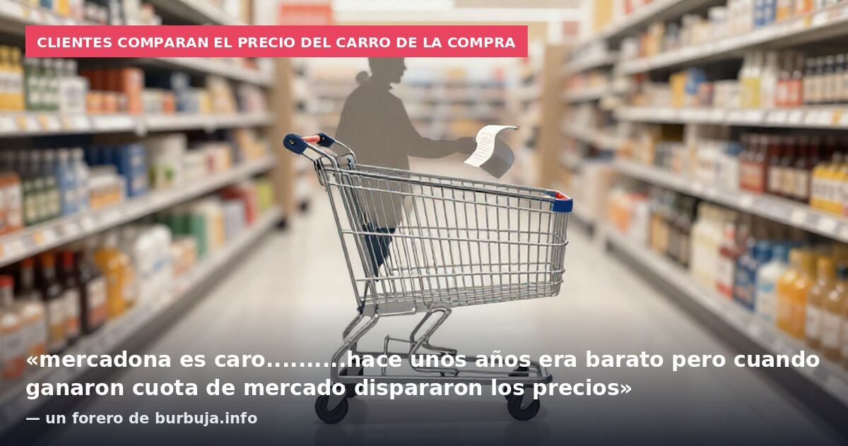 Clientes comparan el precio del carro de la compra: «mercadona es caro..........hace unos años era barato pero cuando ganaron cuota de mercado dispararon los precios» — un forero de burbuja.info