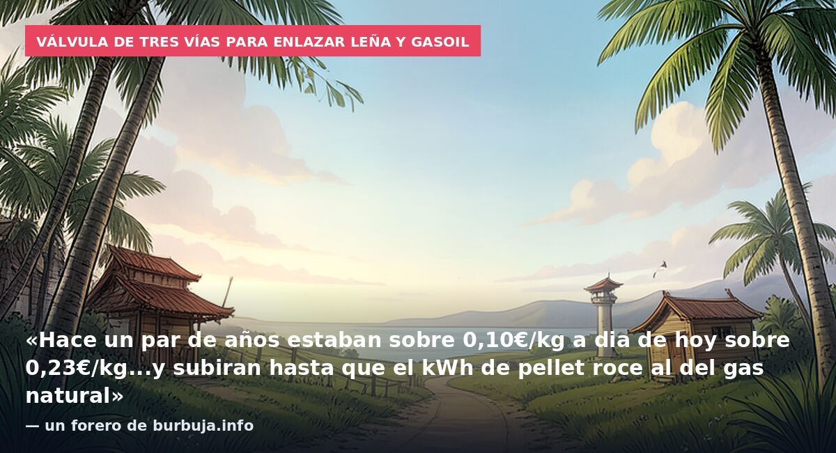 Válvula de tres vías para enlazar leña y gasoil: «Hace un par de años estaban sobre 0,10€/kg a dia de hoy sobre 0,23€/kg...y subiran hasta que el kWh de pellet roce al del gas natural» — un forero de burbuja.info
