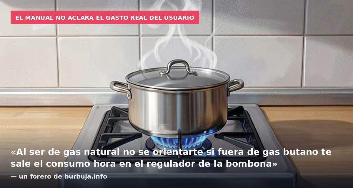 El manual no aclara el gasto real del usuario: «Al ser de gas natural no se orientarte si fuera de gas butano te sale el consumo hora en el regulador de la bombona» — un forero de burbuja.info