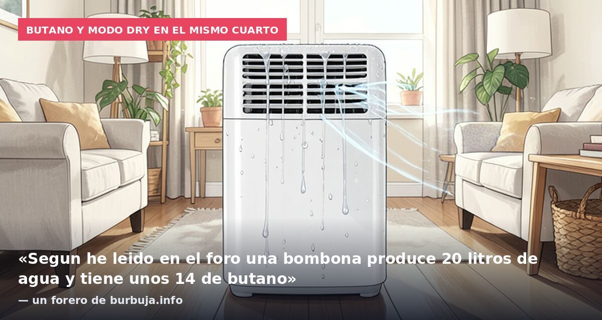 Butano y modo dry en el mismo cuarto: «Segun he leido en el foro una bombona produce 20 litros de agua y tiene unos 14 de butano» — un forero de burbuja.info