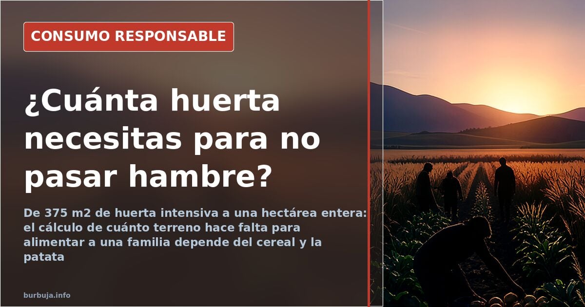 Bancales de huerta con hortalizas y tierra mullida para calcular cuánta huerta necesita una familia
