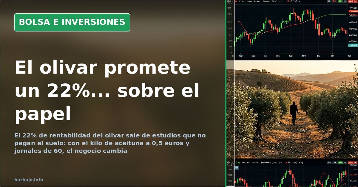 Olivares: el 22% de rentabilidad que no incluye el precio del suelo