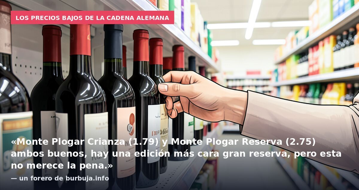 Los precios bajos de la cadena alemana: «Monte Plogar Crianza (1.79) y Monte Plogar Reserva (2.75) ambos buenos, hay una edición más cara gran reserva, pero esta no merece la pena.» — un forero de burbuja.info