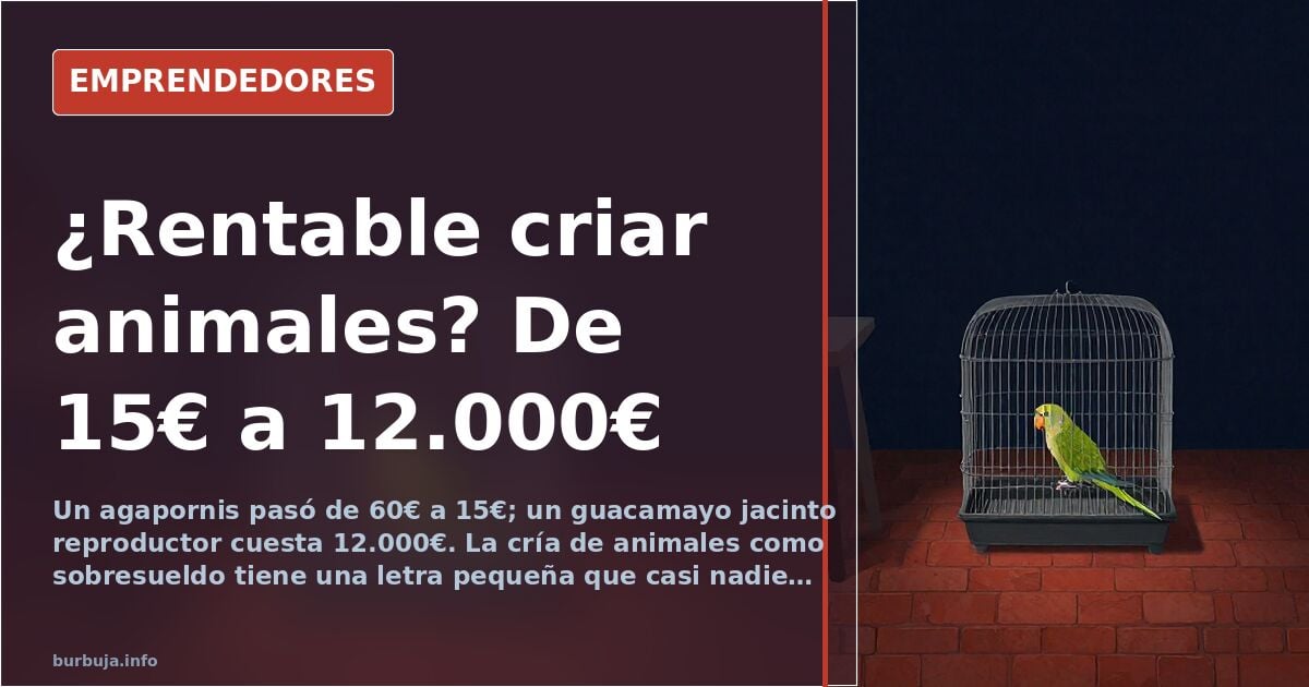 Breeding animals for sale: from €15 lovebirds to €12,000 macaws