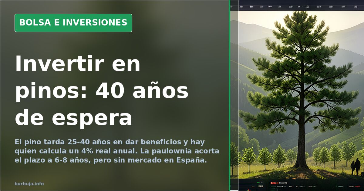 Pine or Paulownia: Long-Term Forestry Investment in Spain