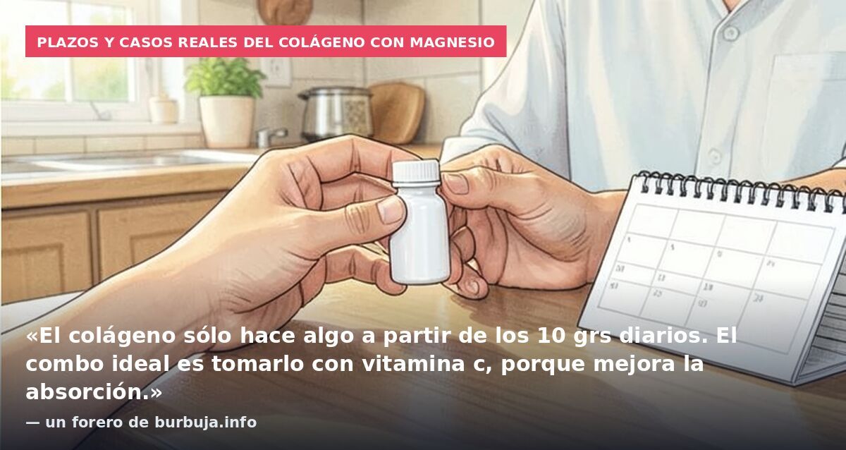 Plazos y casos reales del colágeno con magnesio: «El colágeno sólo hace algo a partir de los 10 grs diarios. El combo ideal es tomarlo con vitamina c, porque mejora la absorción.» — un forero de burbuja.info