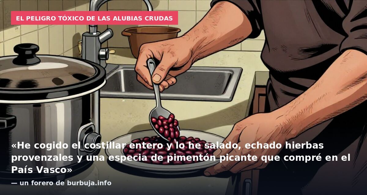 El peligro tóxico de las alubias crudas: «He cogido el costillar entero y lo he salado, echado hierbas provenzales y una especia de pimentón picante que compré en el País Vasco» — un forero de burbuja.info