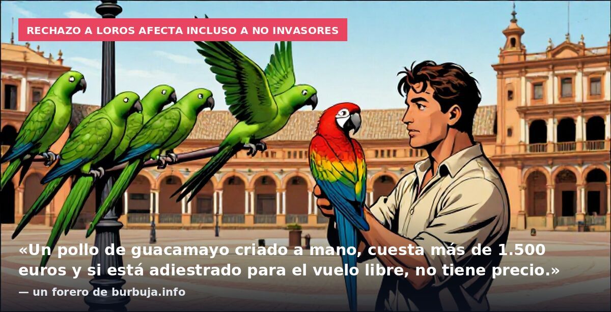 Rechazo a loros afecta incluso a no invasores: «Un pollo de guacamayo criado a mano, cuesta más de 1.500 euros y si está adiestrado para el vuelo libre, no tiene precio.» — un forero de burbuja.info