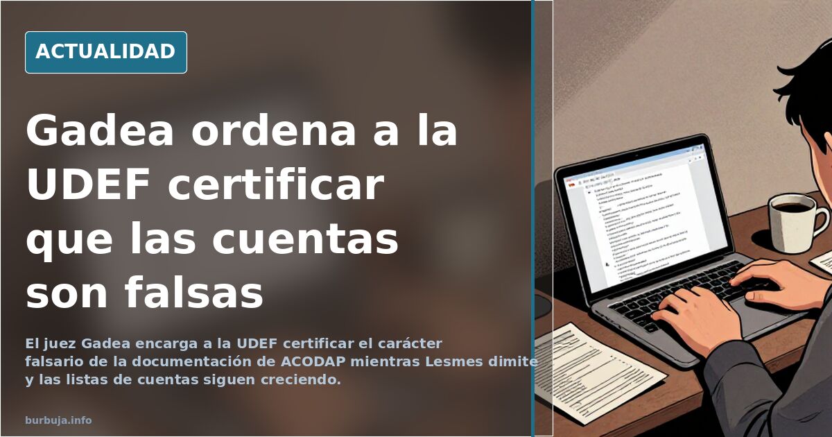 Gadea ordena a la UDEF certificar que las cuentas son falsas
