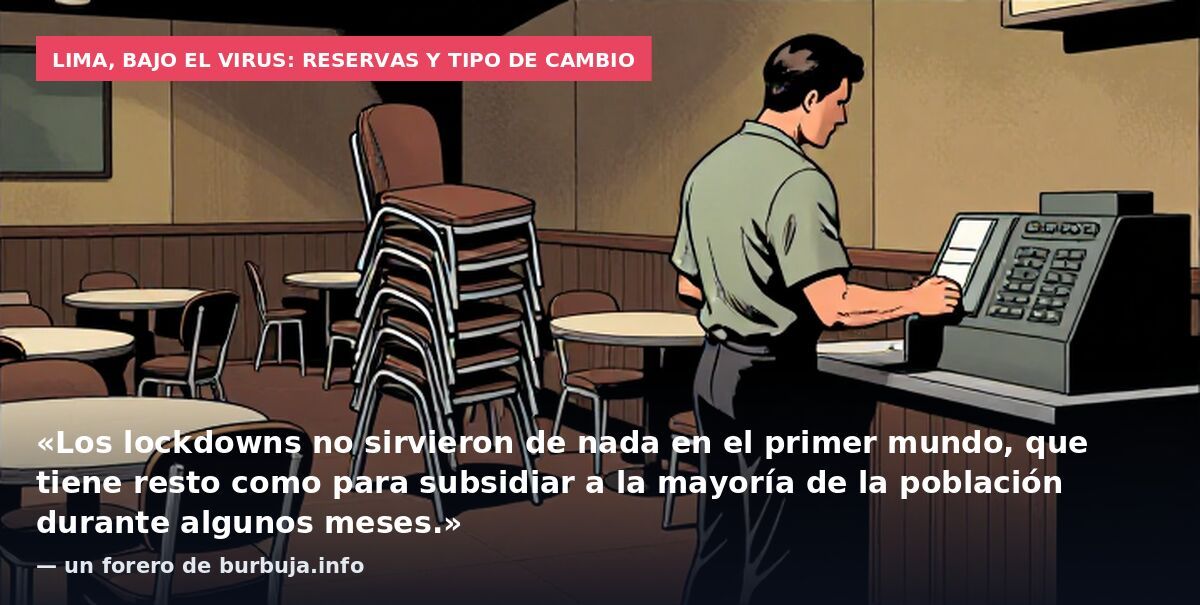 Lima, bajo el virus: reservas y tipo de cambio: «Los lockdowns no sirvieron de nada en el primer mundo, que tiene resto como para subsidiar a la mayoría de la población durante algunos meses.» — un forero de burbuja.info