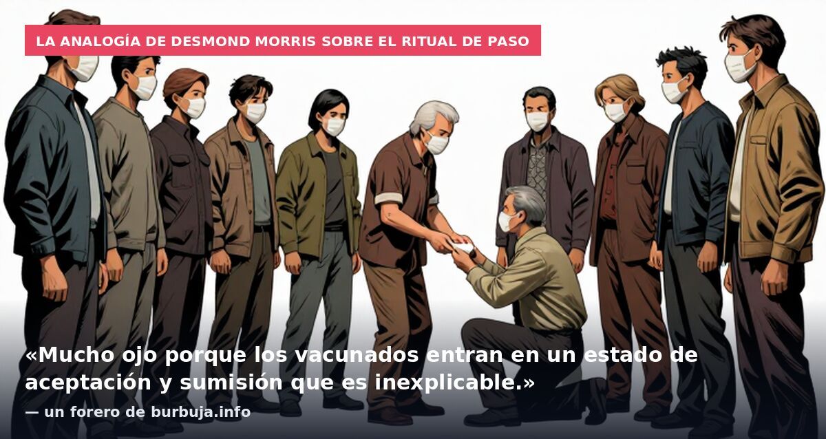 La analogía de Desmond Morris sobre el ritual de paso: «Mucho ojo porque los vacunados entran en un estado de aceptación y sumisión que es inexplicable.» — un forero de burbuja.info