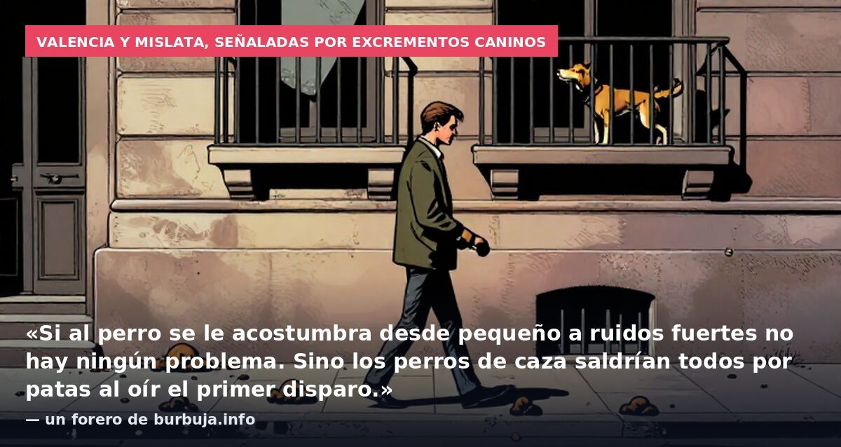 Valencia y Mislata, señaladas por excrementos caninos: «Si al perro se le acostumbra desde pequeño a ruidos fuertes no hay ningún problema. Sino los perros de caza saldrían todos por patas al oír el primer disparo.» — un forero de burbuja.info
