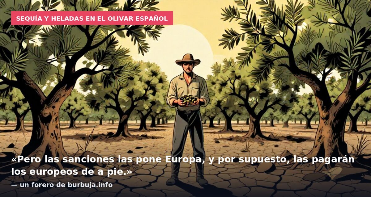 Sequía y heladas en el olivar español: «Pero las sanciones las pone Europa, y por supuesto, las pagarán los europeos de a pie.» — un forero de burbuja.info
